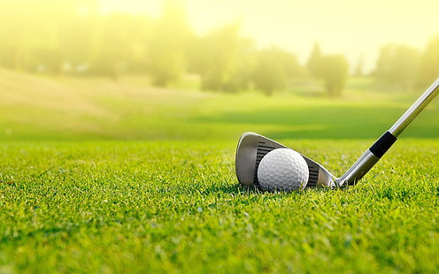 Утренняя зеленая трава Кий Мяч для гольфа, HD обои HD wallpaper