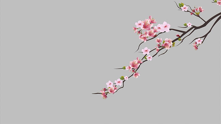 körsbärsträd, körsbärsblom, minimalism, prickar, rosa blomma, HD tapet