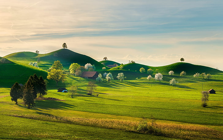 trees on land with mountains during daytime wallpaper, greens, the sky, grass, the sun, clouds, trees, nature, hills, field, beauty, Switzerland, space, houses, Train, HD wallpaper