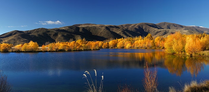 yellow trees near mountain near body of water during daytime, scene, NZ, yellow, trees, mountain, body of water, daytime, Public Domain, Dedication, CC0, geo tagged, photos, nature, autumn, forest, landscape, scenics, lake, tree, outdoors, reflection, beauty In Nature, sky, water, HD wallpaper HD wallpaper