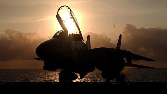 Düsenjäger, Grumman F-14 Tomcat, HD-Hintergrundbild HD wallpaper