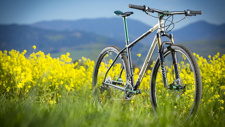 mountain bike, flower field, bicycle, grassland, field, rapeseed, canola, yellow flowers, meadow, grass, canola field, landscape, plant, morning, cycling, HD wallpaper