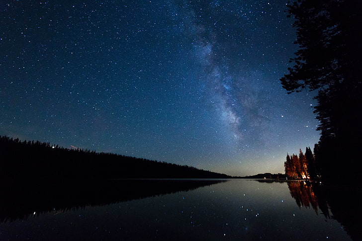 río y árboles verdes, cielo estrellado, noche, estrellas, lago, Fondo de pantalla HD