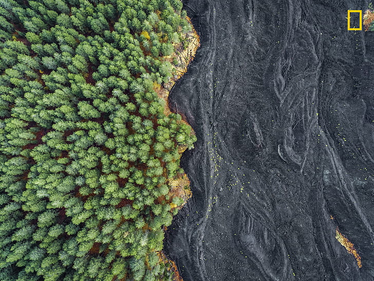 Italy, trees, landscape, aerial view, forest, lava, National Geographic, Sicily, nature, HD wallpaper