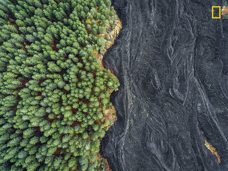 green leafed trees, nature, landscape, National Geographic, trees, aerial view, forest, Sicily, Italy, lava, HD wallpaper