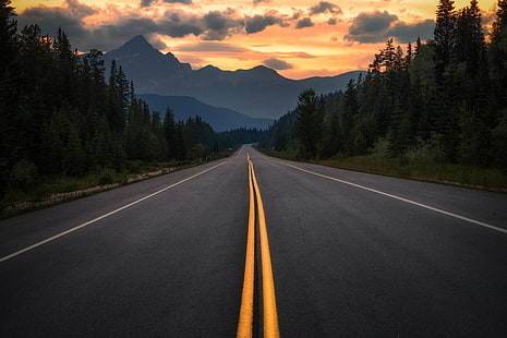 carretera, asfalto, marcado, montañas, árboles, vuelta, jaspe, canadá, Fondo de pantalla HD HD wallpaper