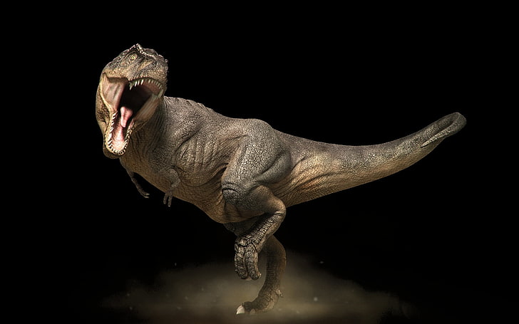 tyrannosaure brun Rex, sombre, bouche, support, Tyrannosaure Rex, Fond d'écran HD