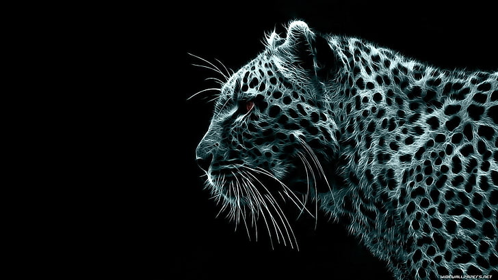ilustração de onça-pintada, animais, leopardo da neve, arte digital, Photoshop, HD papel de parede
