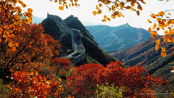 Autumn Leaves and the Great Wall, China, Fall, HD wallpaper