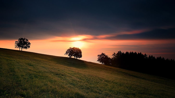 bidang rumput hijau dan foto pohon siluet, pemandangan, pohon, langit, sinar matahari, Wallpaper HD