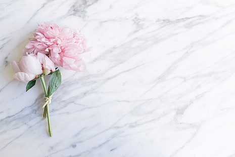 blommor, bukett, marmor, rosa, pioner, öm, HD tapet HD wallpaper