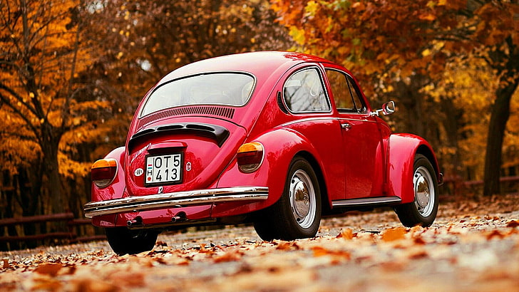 volkswagen, volkswagen beetle, park, red volkswagen, vintage, oldtimer, autumn, HD wallpaper