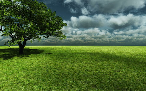 Безкрайно зелено, тъмни облаци, поле, буря, природа, дърво, трева, зелено, 3d и абстрактно, HD тапет HD wallpaper