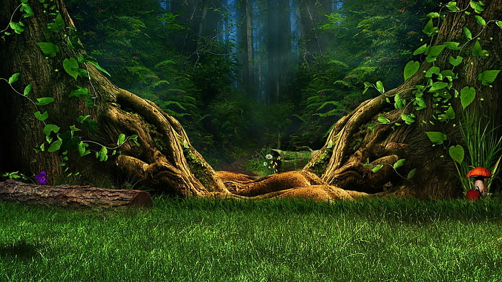 dreamland, forest, HD wallpaper
