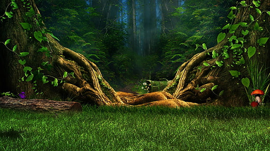 꿈나라, 숲, HD 배경 화면 HD wallpaper