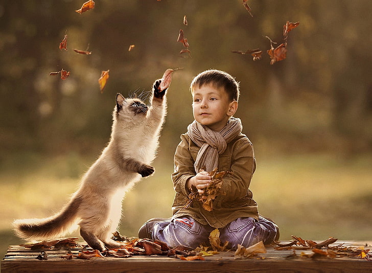 Siamese cat and toddler's brown jacket, children, cat, leaves, Elena Shumilova, HD wallpaper