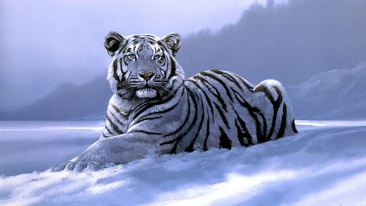 seni, Besar, kucing, fantasi, Peletakan, Foto, Siberia, salju, Harimau, Harimau, putih, liar, musim dingin, Musim Dingin, Wallpaper HD