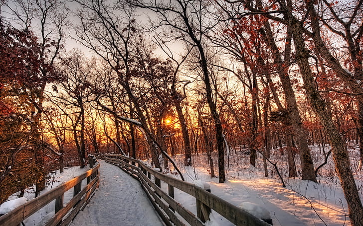 自然の冬の風景、雪、森、木、パス、日没、茶色の木製経路フェンス、自然、冬、風景、雪、森、木、パス、日没、 HDデスクトップの壁紙