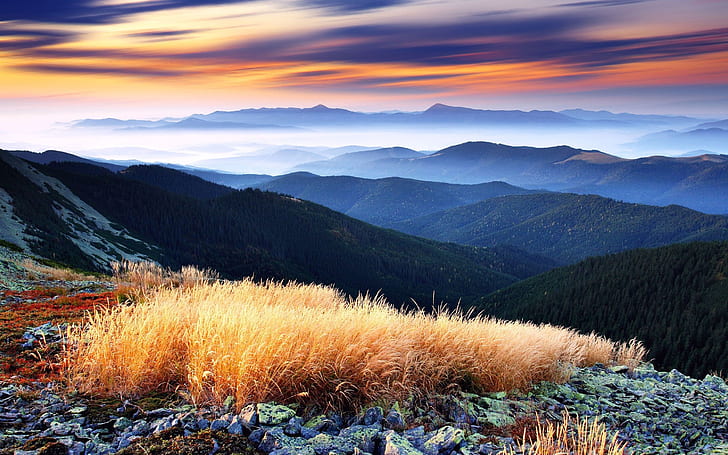 พระอาทิตย์ตกภูเขาเมฆภูมิทัศน์ธรรมชาติต้นไม้ป่าหญ้าเนินเขาหมอก 3000x1875 Nature Forests HD Art, พระอาทิตย์ตก, ภูเขา, วอลล์เปเปอร์ HD