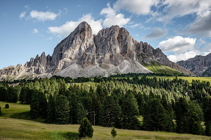 Bäume, Natur, Südtirol, Berge, Italien, Peitlerkofel, HD-Hintergrundbild