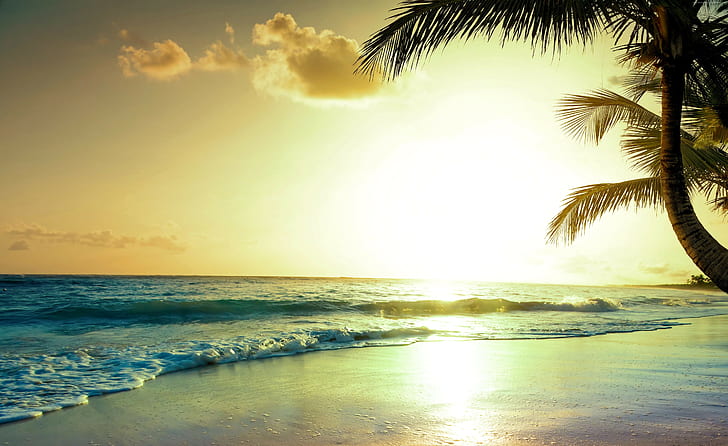 5k, praia tropical, 4k, pôr do sol, paraíso, HD papel de parede