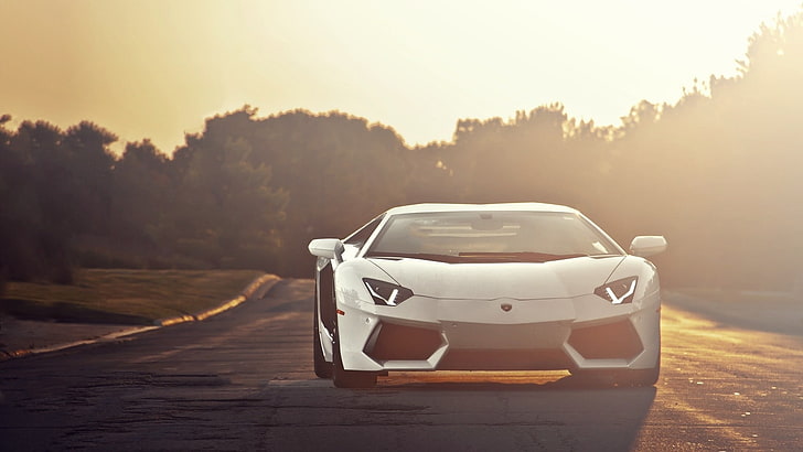 white luxury car, Lamborghini, Lamborghini Aventador, car, vehicle, HD wallpaper