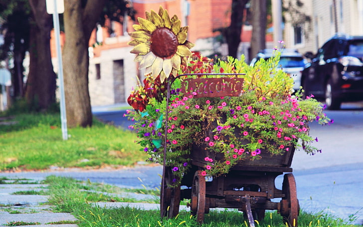chariot en bois marron, fleurs, Fond d'écran HD