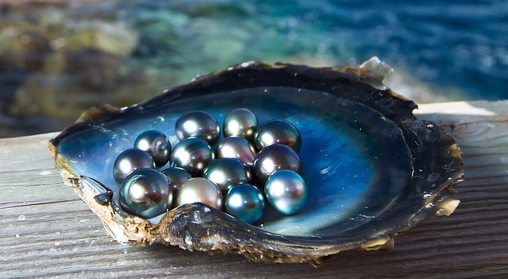 sea, light, Shine, shell, pearls, black pearl, HD wallpaper