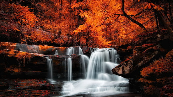 water, nature, waterfall, fall, leaves, autumn, stream, tree, deciduous, landscape, river, HD wallpaper HD wallpaper