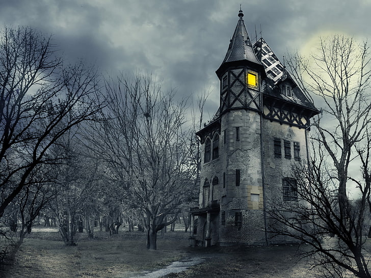 Dark, Haunted, Castle, Gothic, HD wallpaper