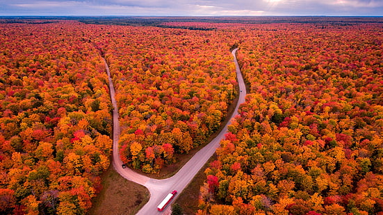 paisaje de otoño, fotografía de drones, bosque, otoño, carretera, colores de otoño, michigan, estados unidos, fotografía aérea, paisaje, escarpa, Fondo de pantalla HD HD wallpaper
