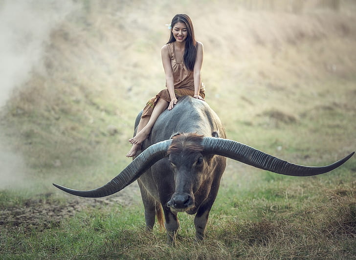 buffalo, girl, riding, grass, thailand, Animal, HD wallpaper