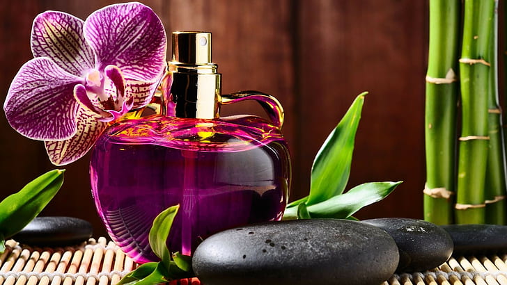 фотография, парфюм, цвете, бамбук, камък, лилав молец орхидея; парфюмна стъклена бутилка; бамбукова трева; черен камък, камък, парфюм, цвете, бамбук, HD тапет