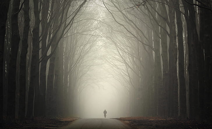 Die Einsamkeit des Herbstes, Jahreszeiten, Herbst, Bäume, Herbst, Einsamkeit, Fahrrad, dunkel, cool, Traurigkeit, HD-Hintergrundbild