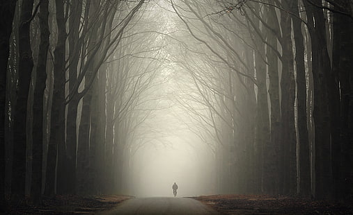 Die Einsamkeit des Herbstes, Jahreszeiten, Herbst, Bäume, Herbst, Einsamkeit, Fahrrad, dunkel, cool, Traurigkeit, HD-Hintergrundbild HD wallpaper