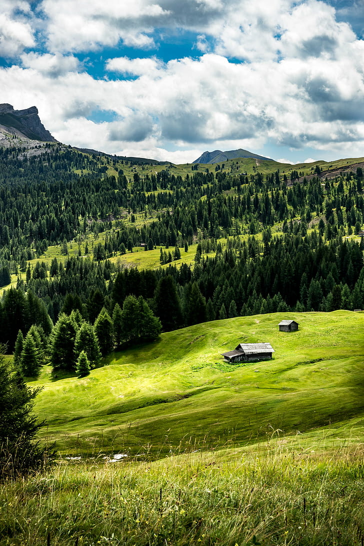 landscape photography of barn surrounded by green grass near tall trees, house, Alta Badia, Italy, Travel, landscape photography, barn, green grass, tall, trees, a7, clouds, dolomites, dolomiti, europe, full frame, geotagged, green  house, italia, landscape, light, mountain, photo, photography, sony a7, fe, trentino alto adige, nature, summer, forest, outdoors, tree, scenics, grass, green Color, meadow, sky, HD wallpaper