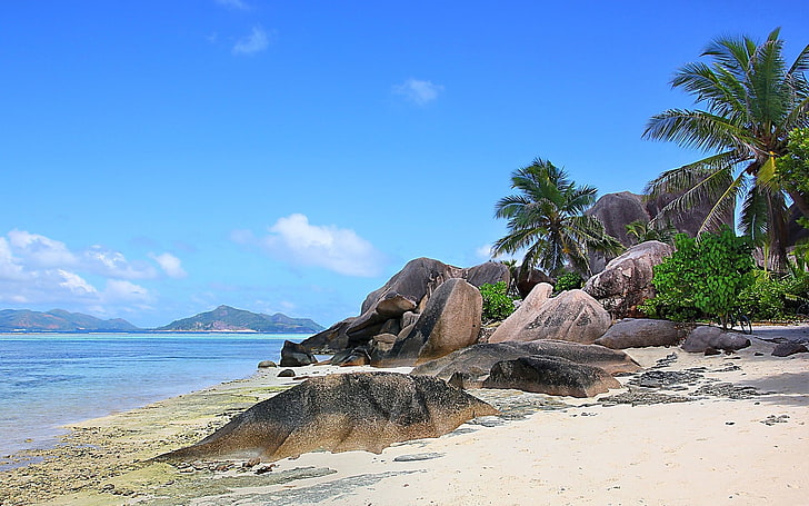 coqueiro, natureza, paisagem, Seychelles, ilha, praia, rocha, palmeiras, mar, areia, montanhas, tropical, verão, nuvens, HD papel de parede