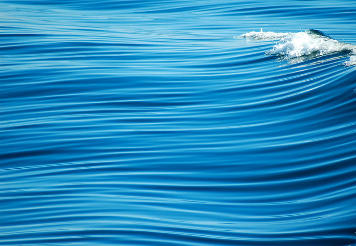 selective photography of sea waves, Lines, selective, photography, sea waves, Cape Cod, USA, Beach, top, f25, line   blue, blue   ocean, smooth, texture, silky, Calm, simple, water, mavi, deniz, crisp, blue, sea, nature, wave, motion, backgrounds, HD wallpaper