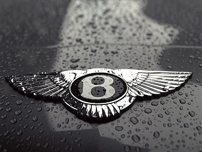 Bentley emblem, drops, black and white, Bentley, logo, HD wallpaper HD wallpaper