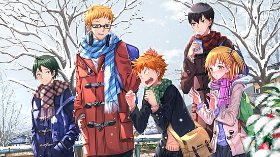 turuncu saçlı erkek anime karakteri, Haikyuu, Hinata Shouyou, Kageyama Tobio, Yamaguchi Tadashi, Tsukishima Kei, Yachi Hitoka, kar, HD masaüstü duvar kağıdı HD wallpaper