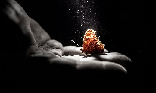 brown butterfly, hands, butterfly, selective coloring, simple background, HD wallpaper HD wallpaper