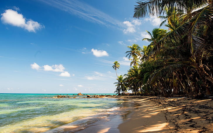 Tropical, beach, sand, palm trees, rocks, sea, Tropical, Beach, Sand, Palm, Trees, Rocks, Sea, HD wallpaper
