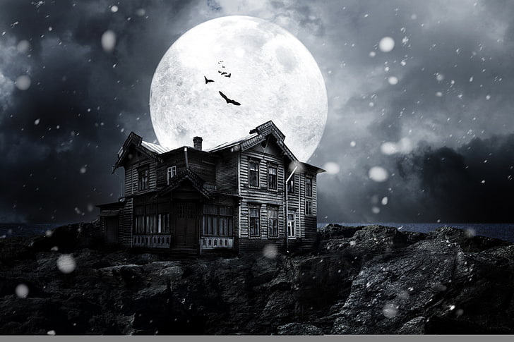 brown house, snow, night, the moon, dark, moon, horror, moonlight, bats, midnight, abandoned ghosts house, creepy, haunted house, full moon, abandoned house ghosts, HD wallpaper
