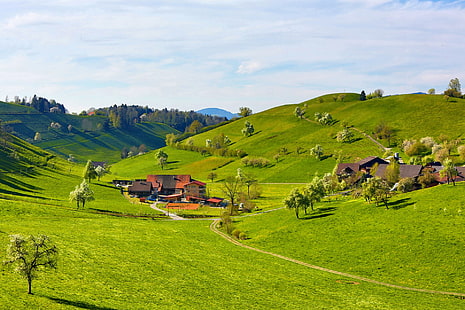 campo de hierba verde, naturaleza, paisaje, verde, campo, colinas, árboles, casa, nubes, Fondo de pantalla HD HD wallpaper