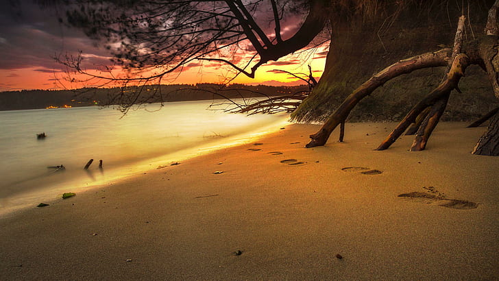Footprints in the sand, foot steps on the sea shore during sunset, beaches, 2560x1440, cloud, tree, sunset, sand, ocean, footprint, HD wallpaper