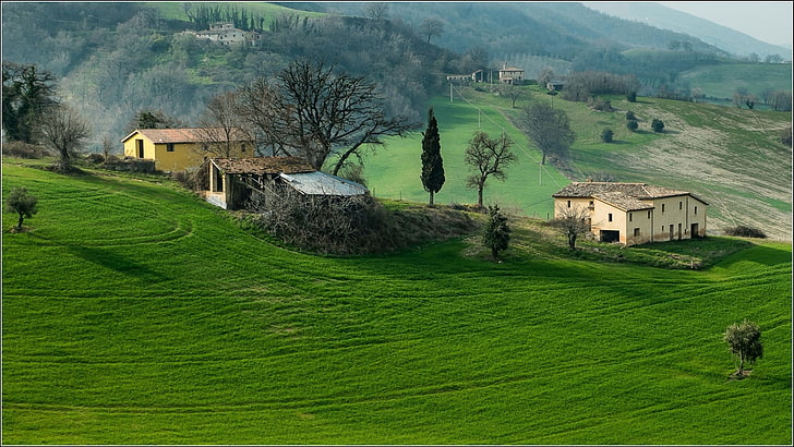 природа, пейзаж, холмы, дом, трава, Италия, деревья, лес, поле, туман, старое здание, зеленый, HD обои