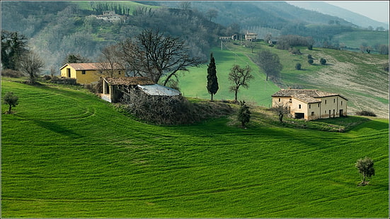 nature, paysage, collines, maison, herbe, Italie, arbres, forêt, champ, brouillard, immeuble ancien, vert, Fond d'écran HD HD wallpaper