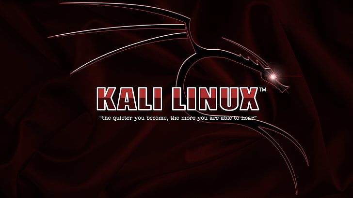 Kali Linux, HD papel de parede