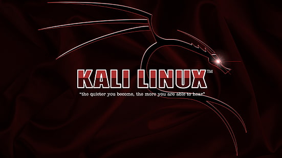 Kali Linux、 HDデスクトップの壁紙 HD wallpaper