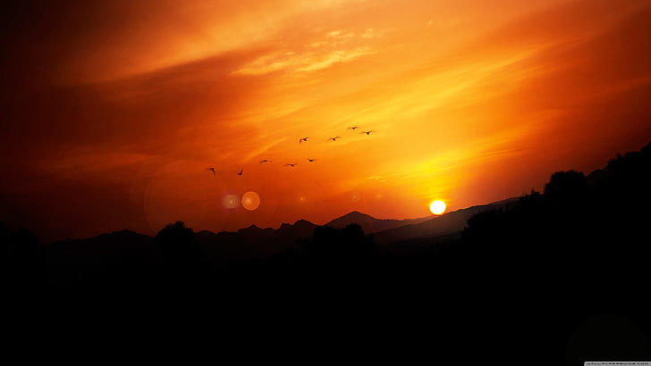 Golden Hour Wallpaper, Natur, Landschaft, Vögel, Sonnenuntergang, HD-Hintergrundbild